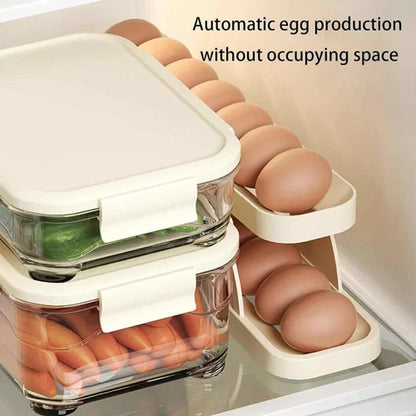 Egg Organizer, Double Layer Egg Storage Tray